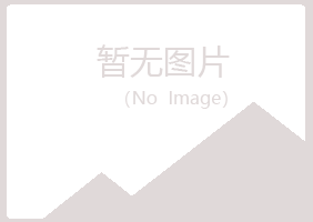 珠山区藏心美容有限公司